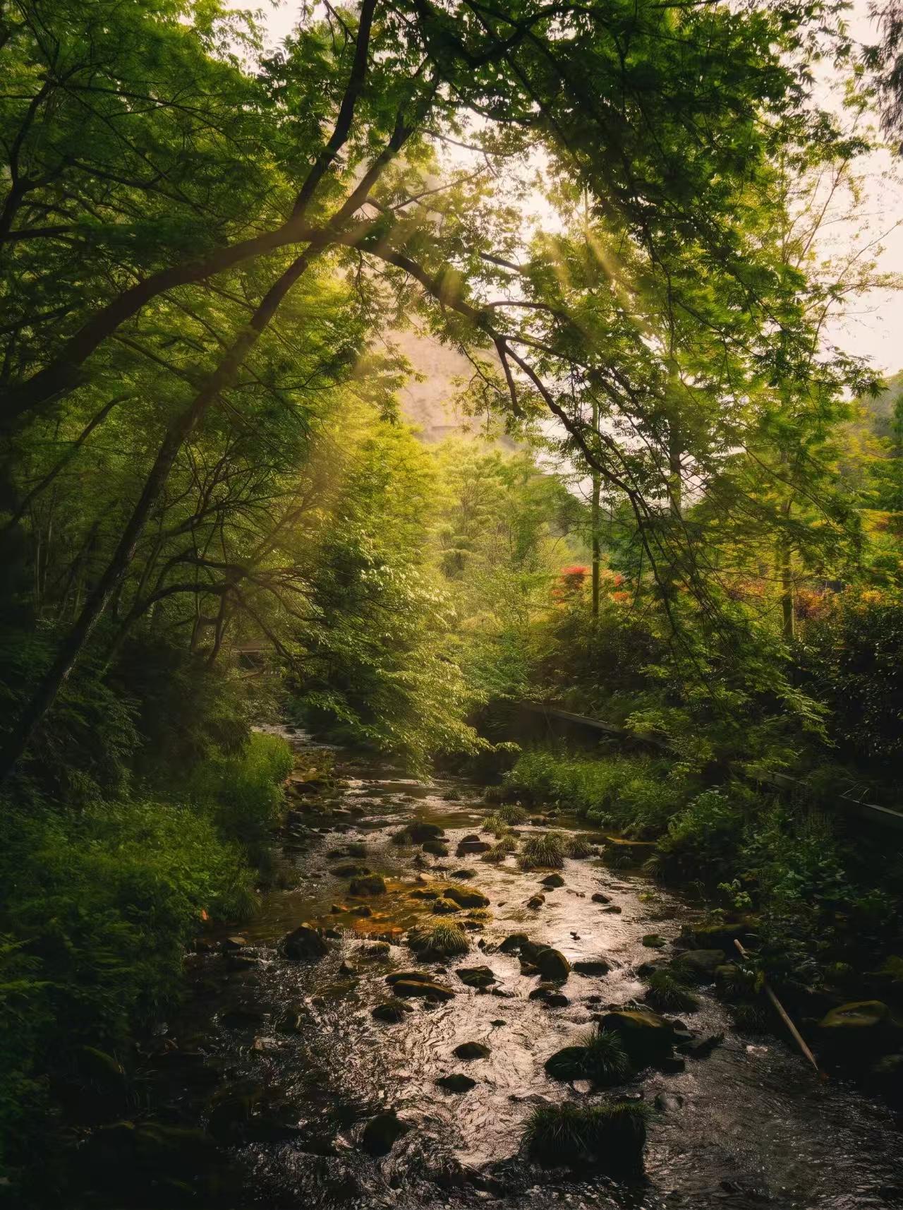 张家界春季美景