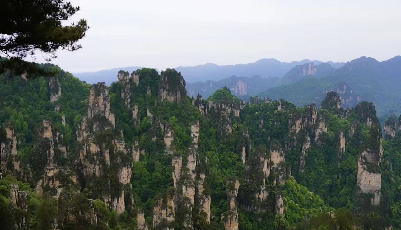 张家界武陵源景区：三千奇峰里的银发慢游指南