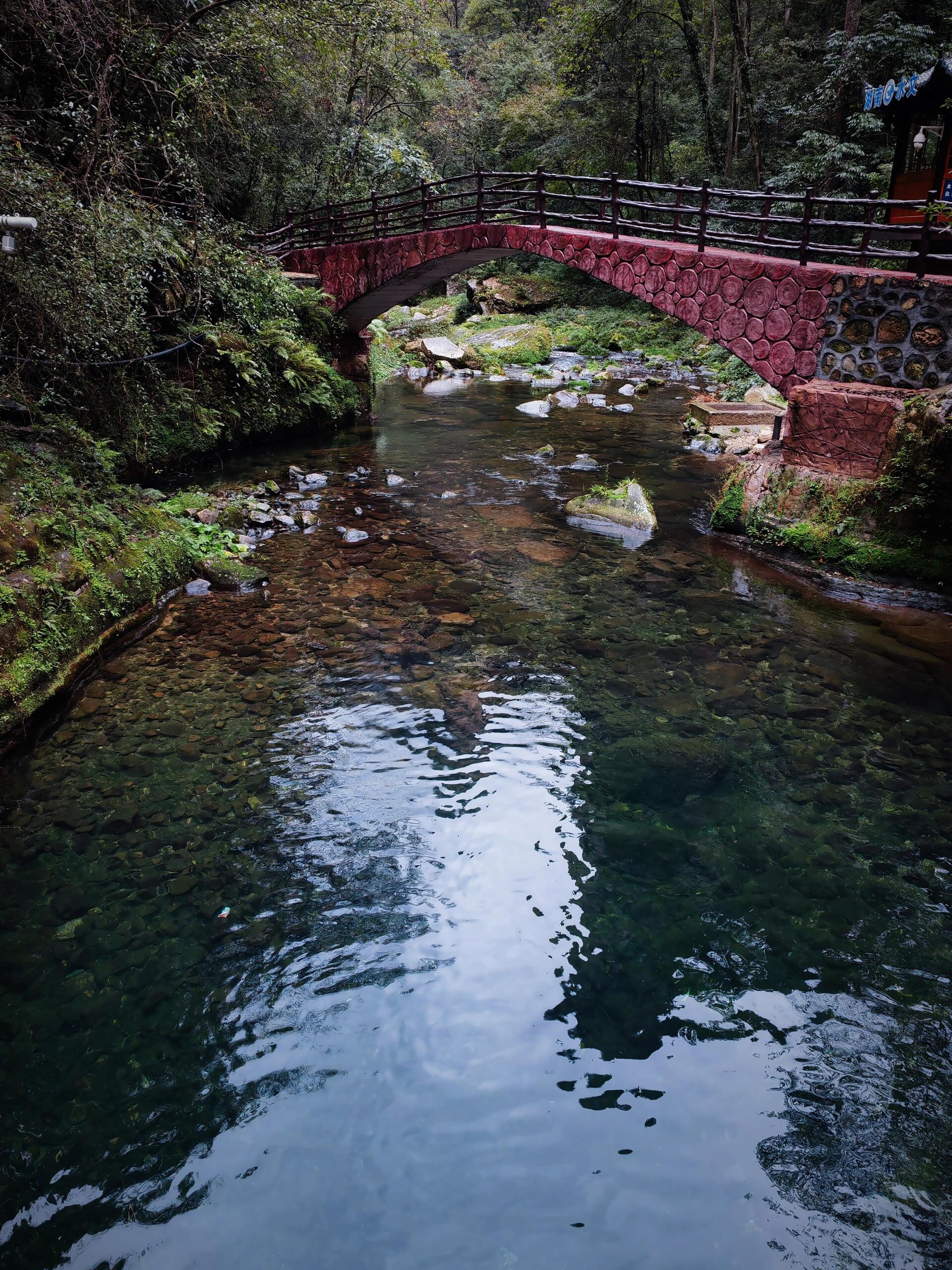 官方渠道+分时预约+优免换证实操拆解：天门山A线/森林公园4日票怎么订不翻车