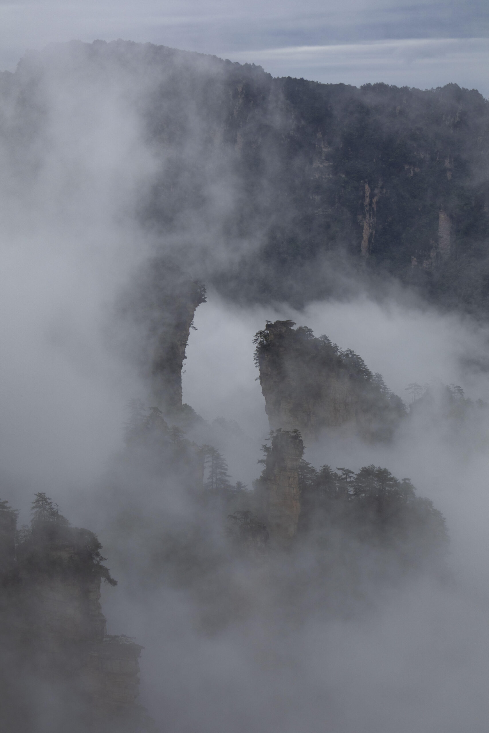 张家界天门山和森林公园先玩哪个