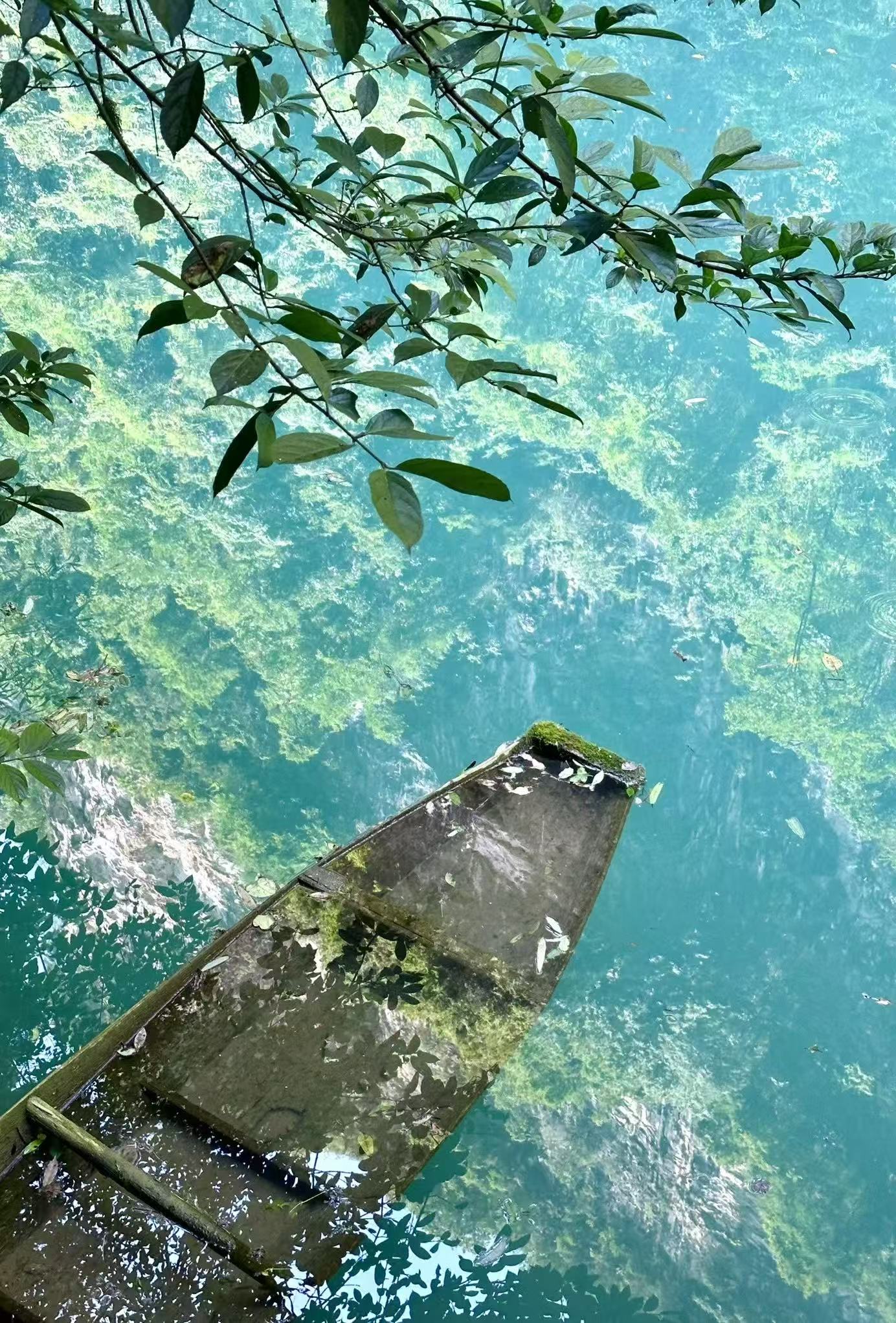 张家界宝峰湖：武陵源里的”人间瑶池”山水实录